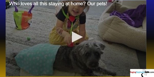 Brazoria County deputies hosting free drive-thru pet food pantry in Alvin